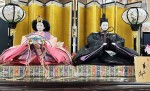御所さくら